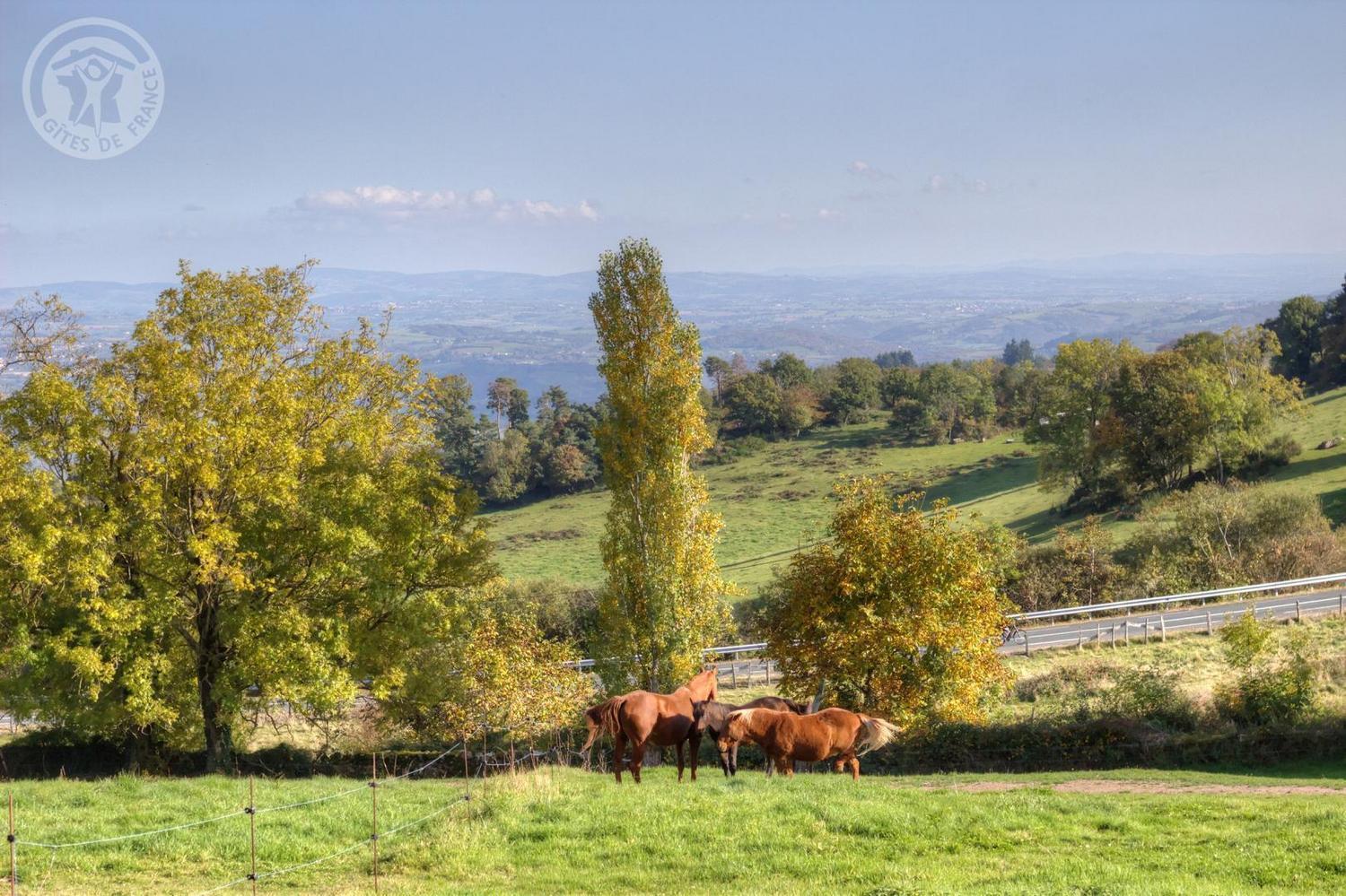 Bed and Breakfast La Ferme Des Galoches Villemontais Экстерьер фото